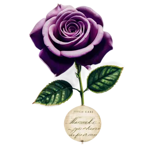 Vintage Rose Memory PNG 06292024