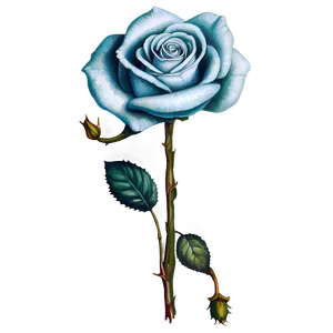Vintage Rose PNG 49