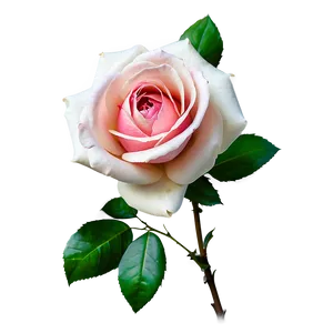 Vintage Rose Portrait PNG 06292024 PNG