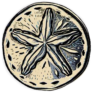 Vintage Sand Dollar Drawing Png Ptq PNG image