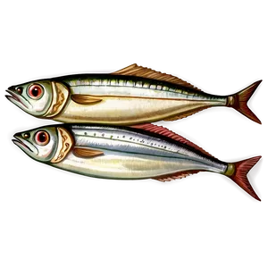 Vintage Sardine Png 46 PNG image