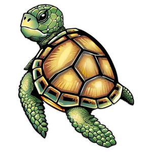 Vintage Sea Turtle Illustration Png Asy PNG image