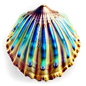 Vintage Seashell Clipart PNG 06262024