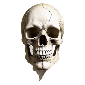 Vintage Skull Face Rendering Png Ykx PNG image