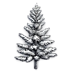 Vintage Spruce Tree Engraving Png Eek PNG image