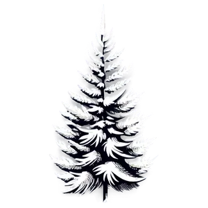 Vintage Spruce Tree Engraving Png Gqh29 PNG image