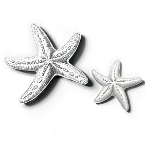 Vintage Starfish Sketch PNG Osd