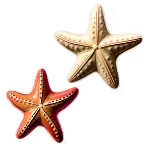 Vintage Starfish Sketch PNG Rgu