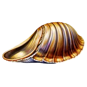 Vintage Style Clam Illustration Png Mcr11 PNG image
