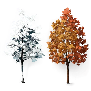 Vintage Style Fall Trees PNG 06212024 PNG