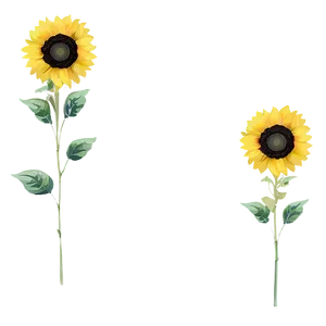 Vintage Sunflower Pattern PNG Xbm20 PNG