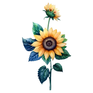 Vintage Sunflower Watercolor Illustration PNG Esv79 PNG