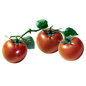 Vintage Tomato Png 05242024 PNG image