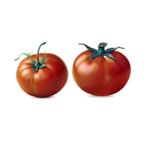 Vintage Tomato Png Wyq PNG image