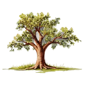 Vintage Tree Elevation Png 22 PNG image