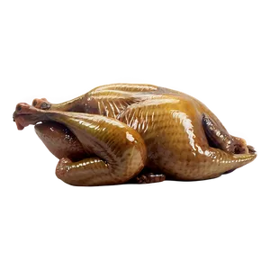 Vintage Turkey PNG 43 PNG