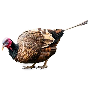 Vintage Turkey PNG Icm