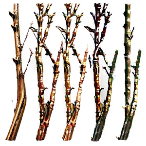 Vintage Twig PNG 06132024
