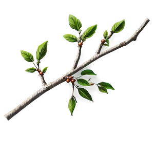 Vintage Twig PNG Akk64 PNG