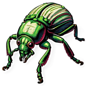 Vintage Weevil Illustration Png 95 PNG image