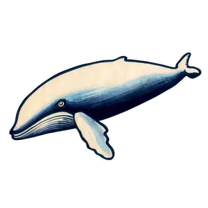 Vintage Whale Drawing Png Xki PNG image