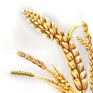 Vintage Wheat Harvest Png 33 PNG image