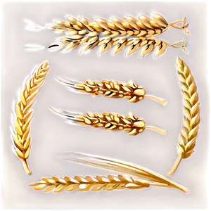 Vintage Wheat Harvest Png Qhf PNG image