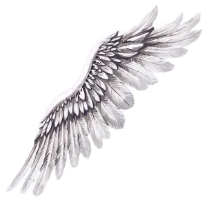 Vintage White Wings PNG 50 PNG