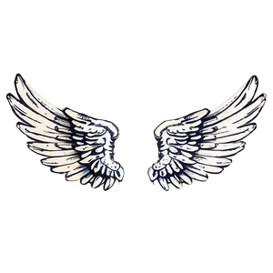 Vintage White Wings PNG Qsu