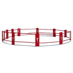 Vintage Wrestling Ring Design PNG Rko