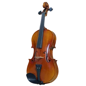 Viola B PNG image