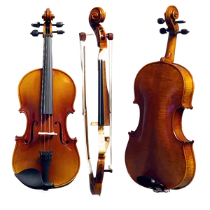 Viola D PNG image