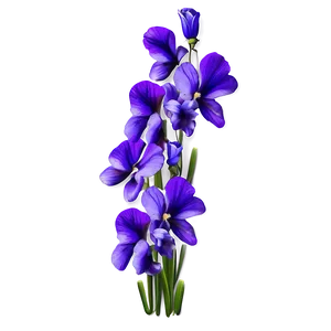 Violet Bouquet PNG 05242024