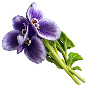Violet Bouquet PNG Xhn