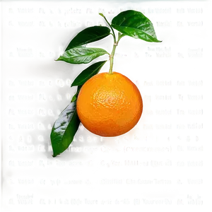 Vitamin C Rich Oranges PNG 19 PNG