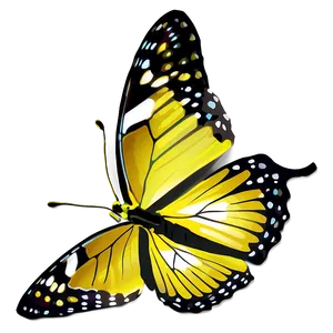 Vivid Butterfly Png 70 PNG image