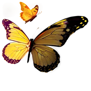 Vivid Butterfly PNG Ltf94 PNG