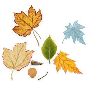 Vivid Leaves Falling PNG 06132024 PNG