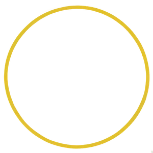 Vivid Yellow Circle Diagram Png 06122024 PNG image