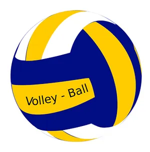 Volleyball Graphic Illustration PNG image