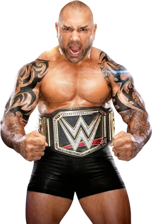 W W E Champion Batista Pose PNG image