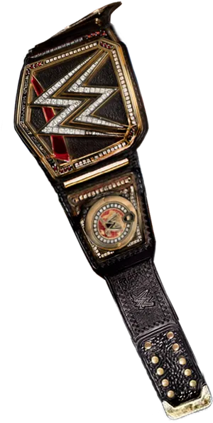 W W E_ Championship_ Belt PNG