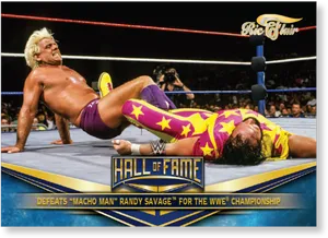 W W E Hallof Fame Match Victory PNG