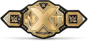 W W E N X T Championship Belt