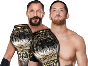 W W E_ Tag_ Team_ Champions_ Portrait PNG