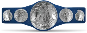 W W E Tag Team Championship Belt