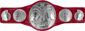 W W E Tag Team Championship Belt PNG