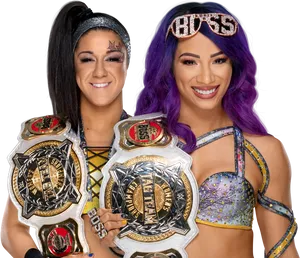 W W E Women Tag Team Champions PNG