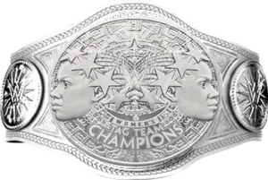 W W E Womens Tag Team Championship Belt PNG image