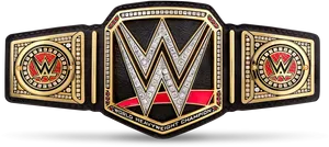 W W E World Heavyweight Championship Belt